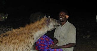 Man feeding a hyena at night