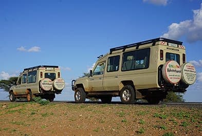 Two Land Cruisers on a desert track