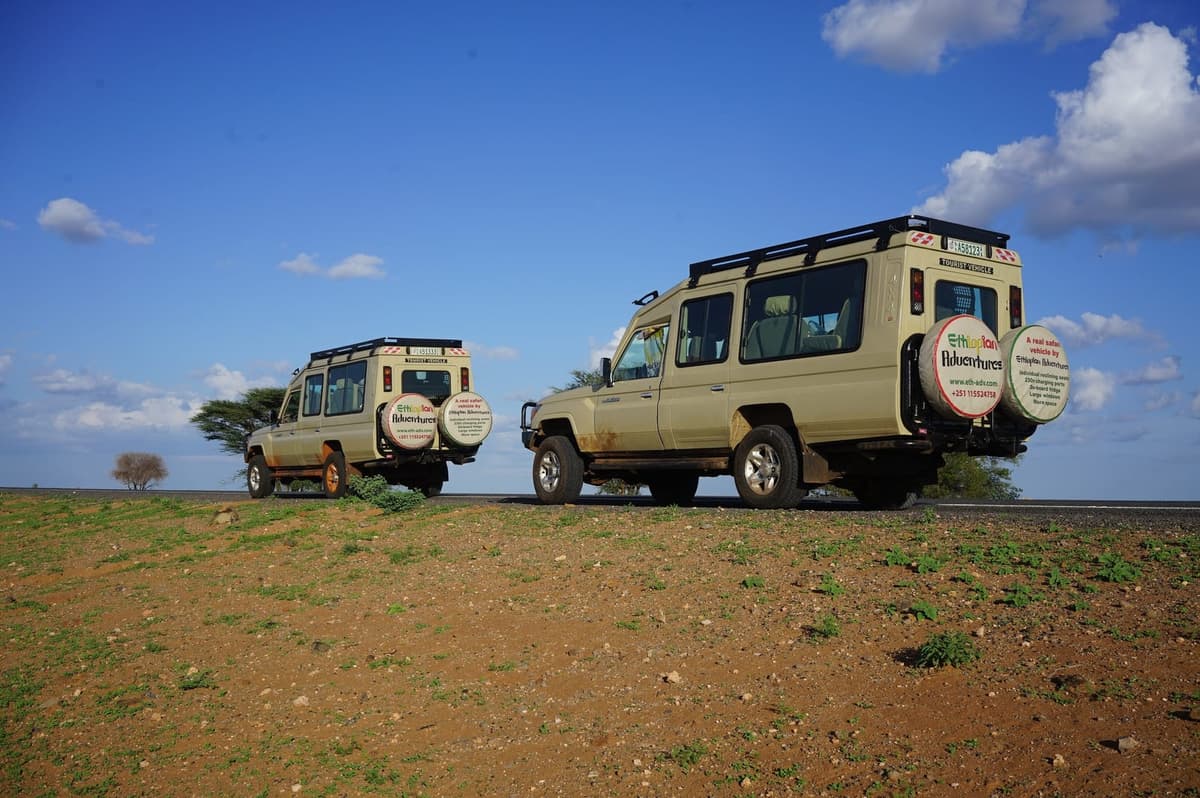 Two Land Cruisers on a desert track