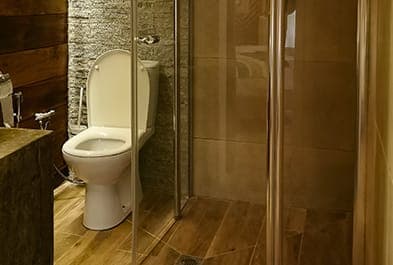 Bathroom with a glass-walled shower